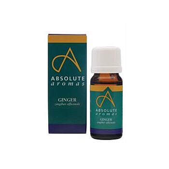 Absolute Aromas - Ginger Oil (10ml)