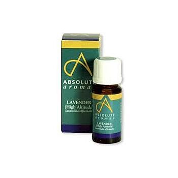 Absolute Aromas - Lavender (High Altitude) (30ml)