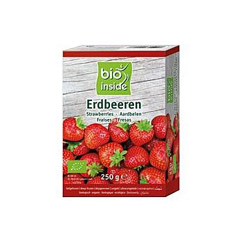 Bio Inside - Organic Strawberries (250g)