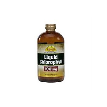 Dynamic Health - Liquid Chlorophyll - 100mg (480ml)