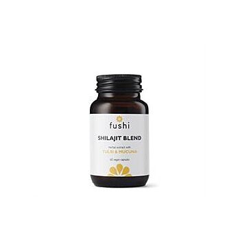 Fushi Wellbeing - Shilajit Blend 500mg (60 capsule)