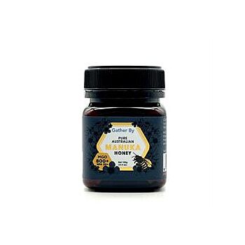GATHERBY - Australian Manuka Honey 800MG0 (125g)