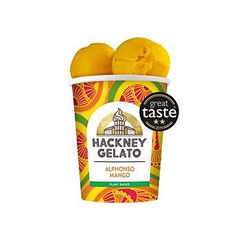 Hackney Gelato - Alphonso Mango Sorbetto (460ml)