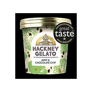 Hackney Gelato - Mint & Choc Chips Gelato (100ml)