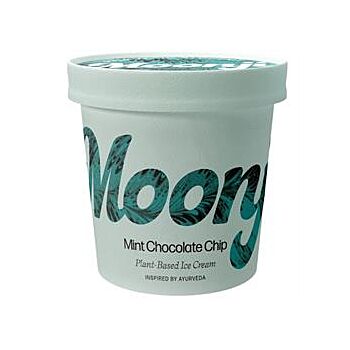 Moonji - Mint Chocolate Chip Ice Cream (460ml)