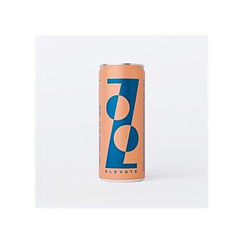 Zooz - Elevate Sparkling Drink (250ml)