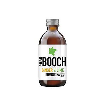 Pure Booch Kombucha - Ginger & Lime Kombucha (250ml)