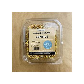 Skysprouts - Organic Sprouted Lentils (200g)