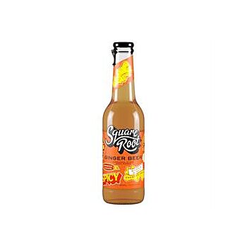 Square Root - Ginger Beer (275ml)