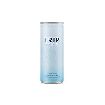 Trip Drink Ltd - Mindful Blends Cucumber Mint (250ml)