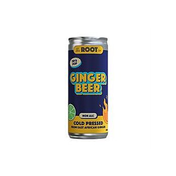 The Root Co - East African Root Ginger Beer (230ml)
