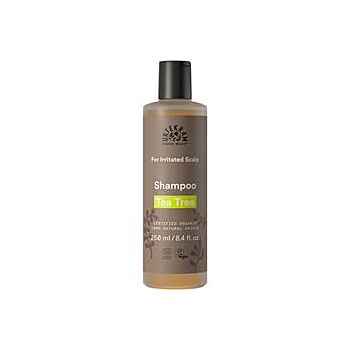 Urtekram - Tea Tree Shampoo Organic (250ml)