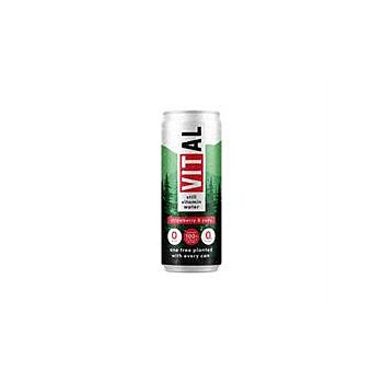 VITAL Drinks - Strawberry & Yuzu Vit Water (330ml)