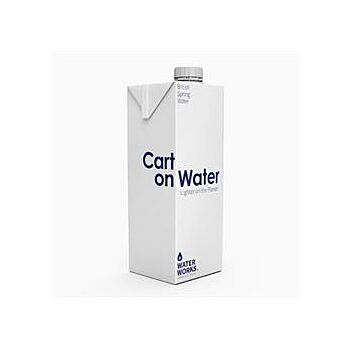 Water Works - Carton Water Still (1l)