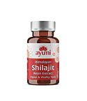Shilajit Extract Vegan Capsule (24g)