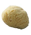 Org Baby Sea Sponge (1large)