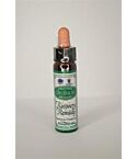 Bach Recovery Remedy (10ml)