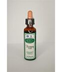 Bach Recovery Remedy Plus (20ml)