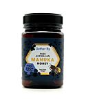 Australian Manuka Honey 250MG0 (500g)