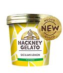 Sicilian Lemon Sorbetto (100ml)