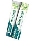 Mint Fresh Toothpaste (75g)