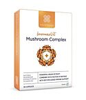 ImmunoVit Mushroom Complex (30 capsule)