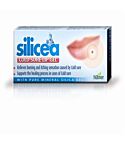 Silicea Cold Sore Lip Gel (2g)