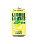 Lemon & Ginger Soda (330ml)