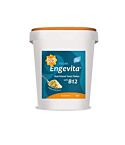Marigold Catering Engevita B12 (650g)