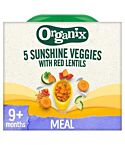 Veggies with Red Lentils (190g)