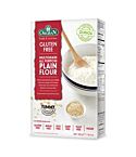 Plain Flour (500g)