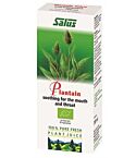 Plantain Plant Juice (200ml)