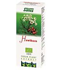 Hawthorn Plant Juice (200ml)