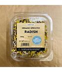 Organic Sprouted Radish (100g)
