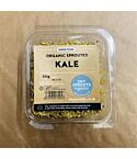 Organic Sprouted Kale (50g)