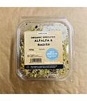 Org Sprouted Alfalfa & Radish (100g)