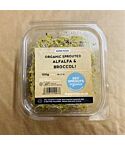 Org Sprouted Alfalfa Broccoli (100g)