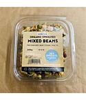 Organic Sprouted Mixed Beans (200g)