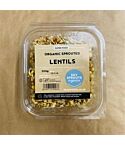 Organic Sprouted Lentils (200g)