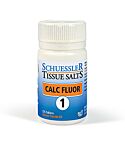 Calc Fluor No 1 (125 tablet)