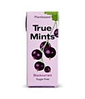 True Mints Blackcurrant (13g box)