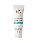 Mint with Green Tea Toothpaste (75ml)