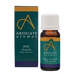 Pine Scotch Oil 10ml (10ml)