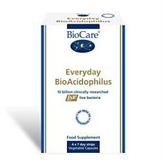 Everyday BioAcidophilus (28 capsule)
