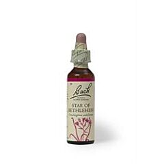 Star of Bethlehem (20ml)