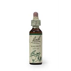 Bach Original Flower Walnut (20ml)