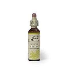 Bach Original White Chestnut (20ml)