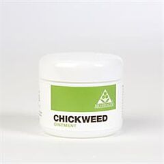 Chickweed Ointment (42g)