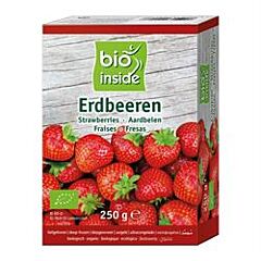 Organic Strawberries (250g)