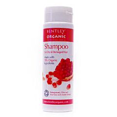 Shampoo Dry & Damaged (250ml)